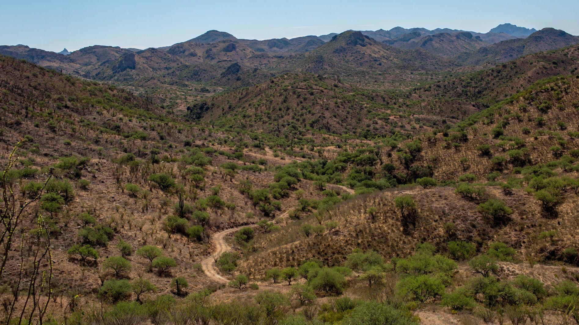 Contractor building $1.3B border wall in Southern Arizona is accused of shoddy work in Texas